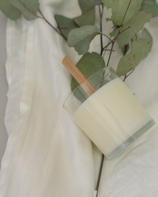 Soy Candles Safe for Cats: Myths and Facts