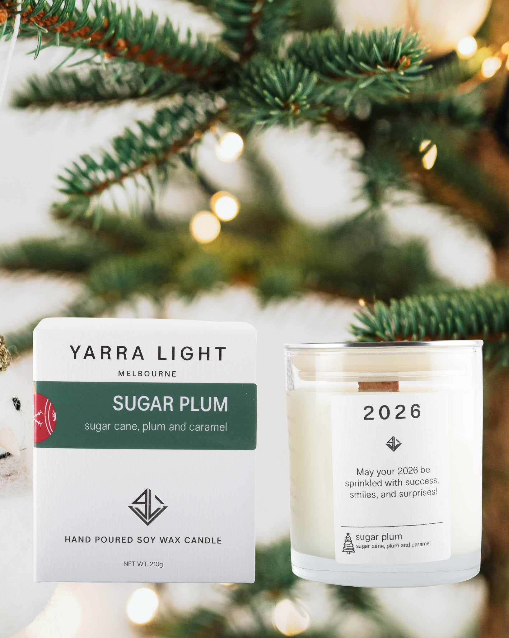 Yarra Light Sugar Plum candle with packaging against a Christmas tree background